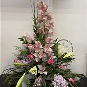 Orchid Arrangement