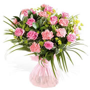 Carosa - Available in 3 Colours 