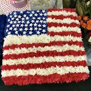 USA Flag