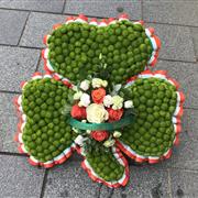 Shamrock Tribute
