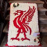 Liverbird Tribute