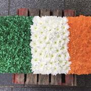 Tri Colour Tribute