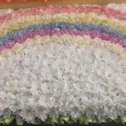 Rainbow Tribute
