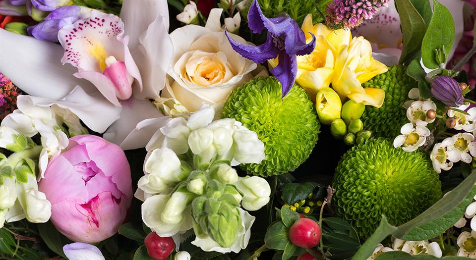 Summer Flowers